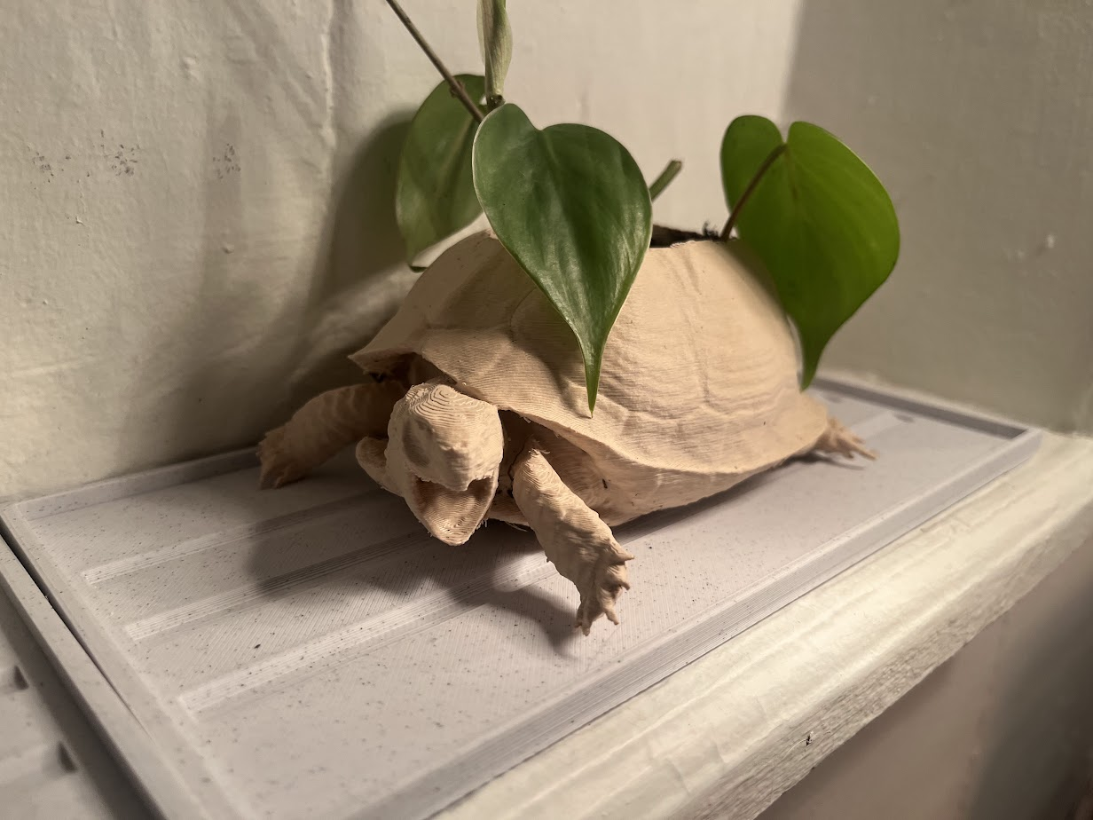 3d printed tan box turtle shaped planter on white bookshelf