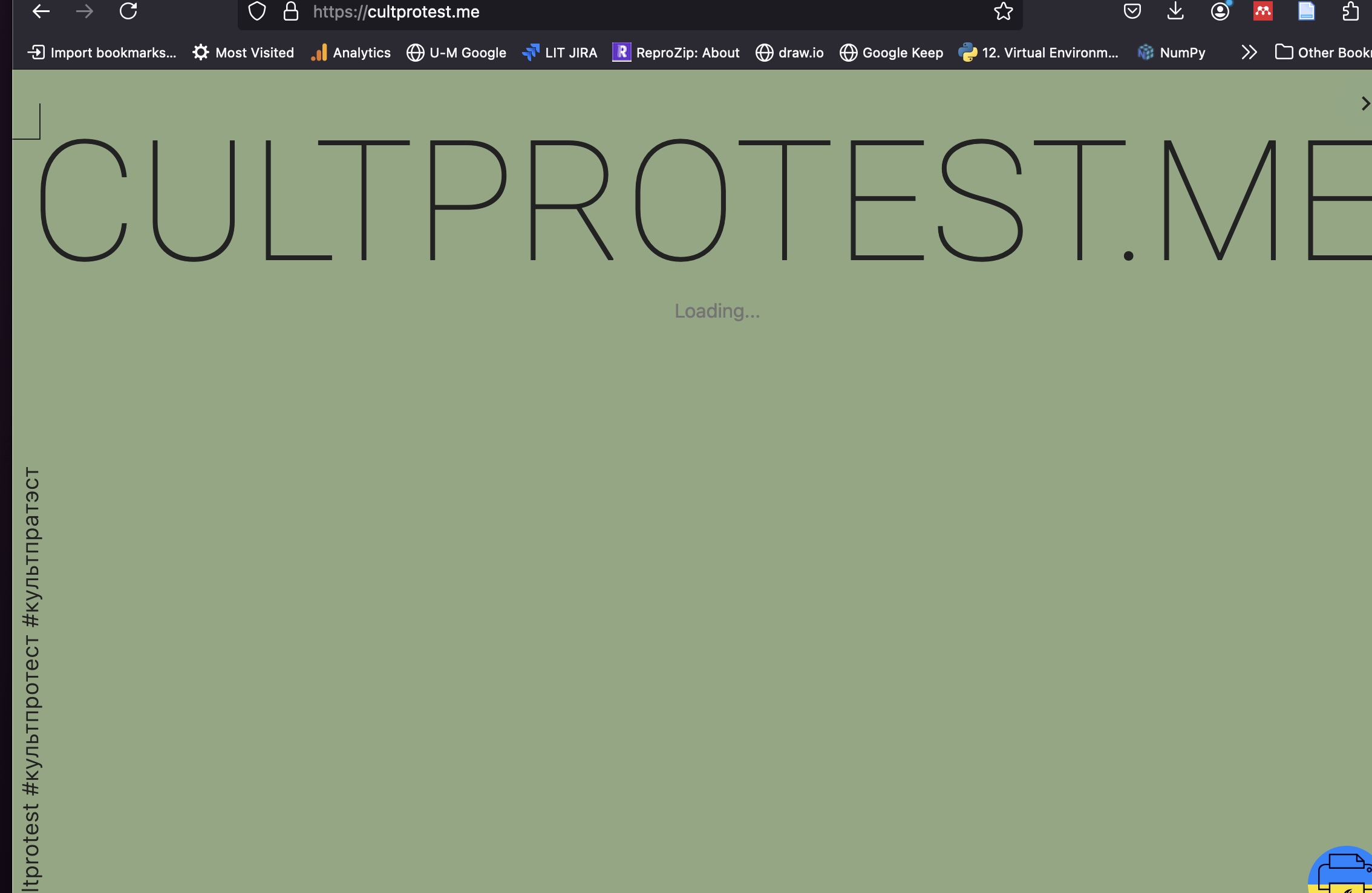 cultprotest.me website loading...