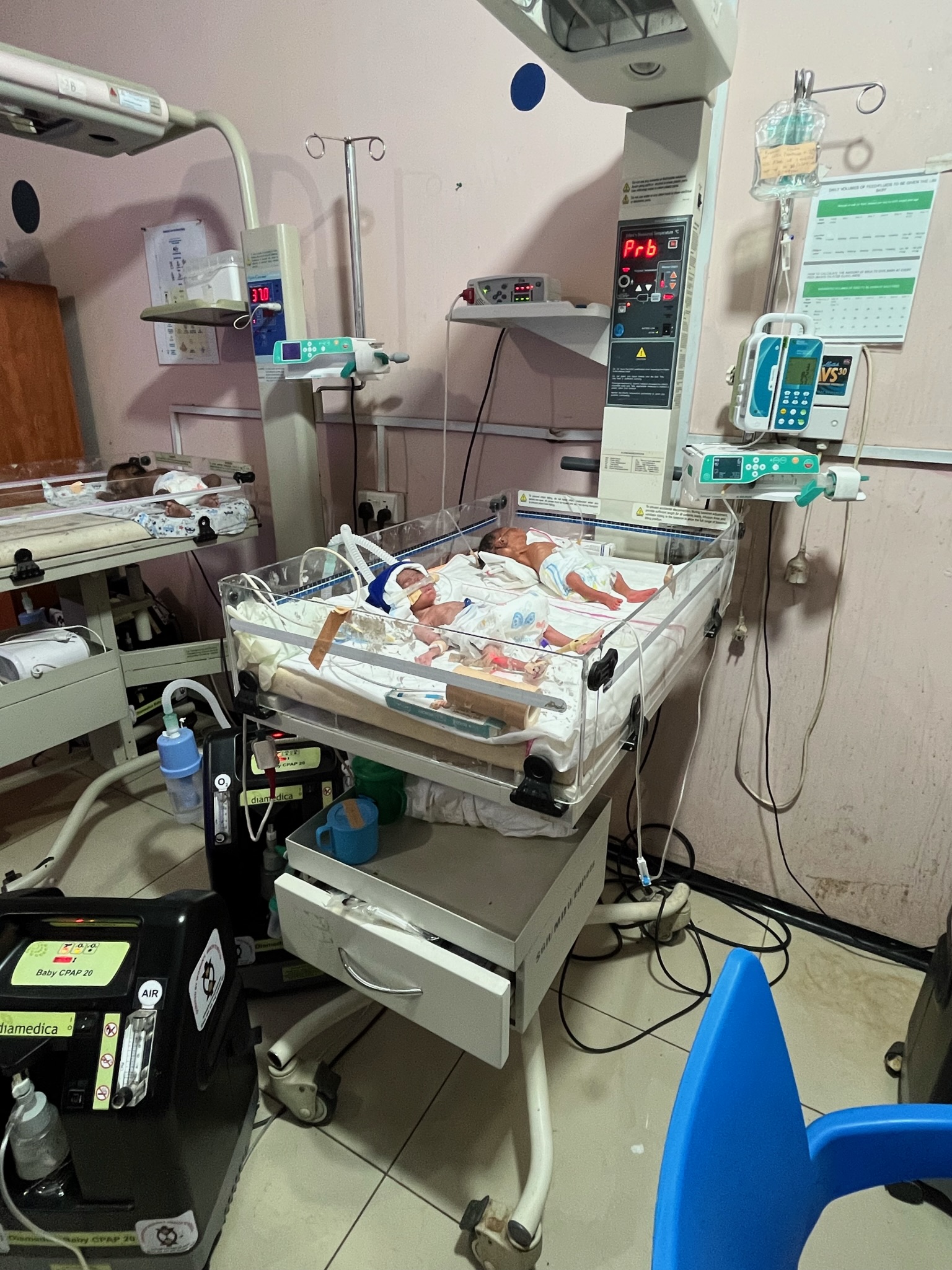 Newborns are laid side by side in an incubator