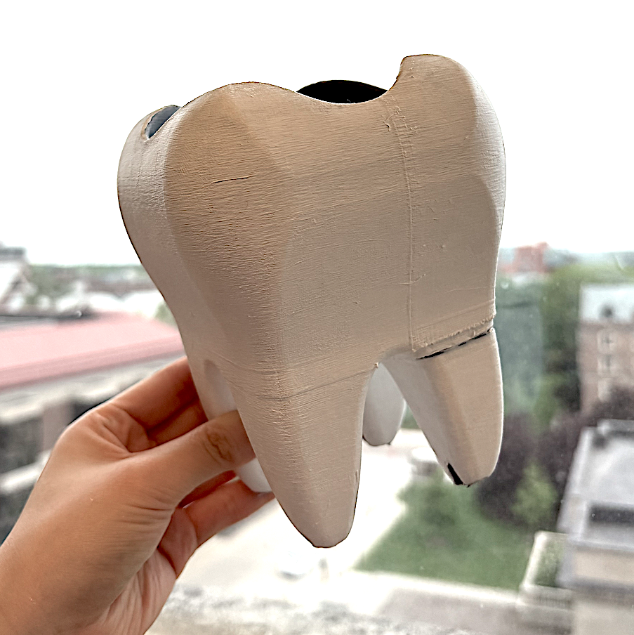 Front View Of Tooth Vase