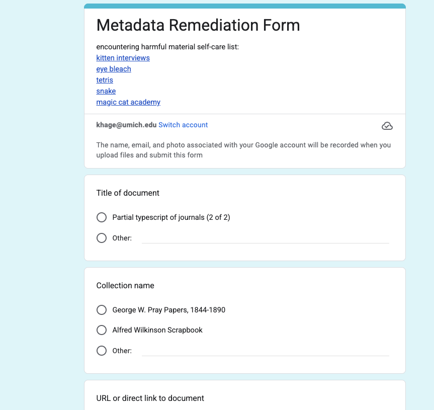 Metadata remediation form used by interns to capture potentially objectionable content in the identified digital collections.
