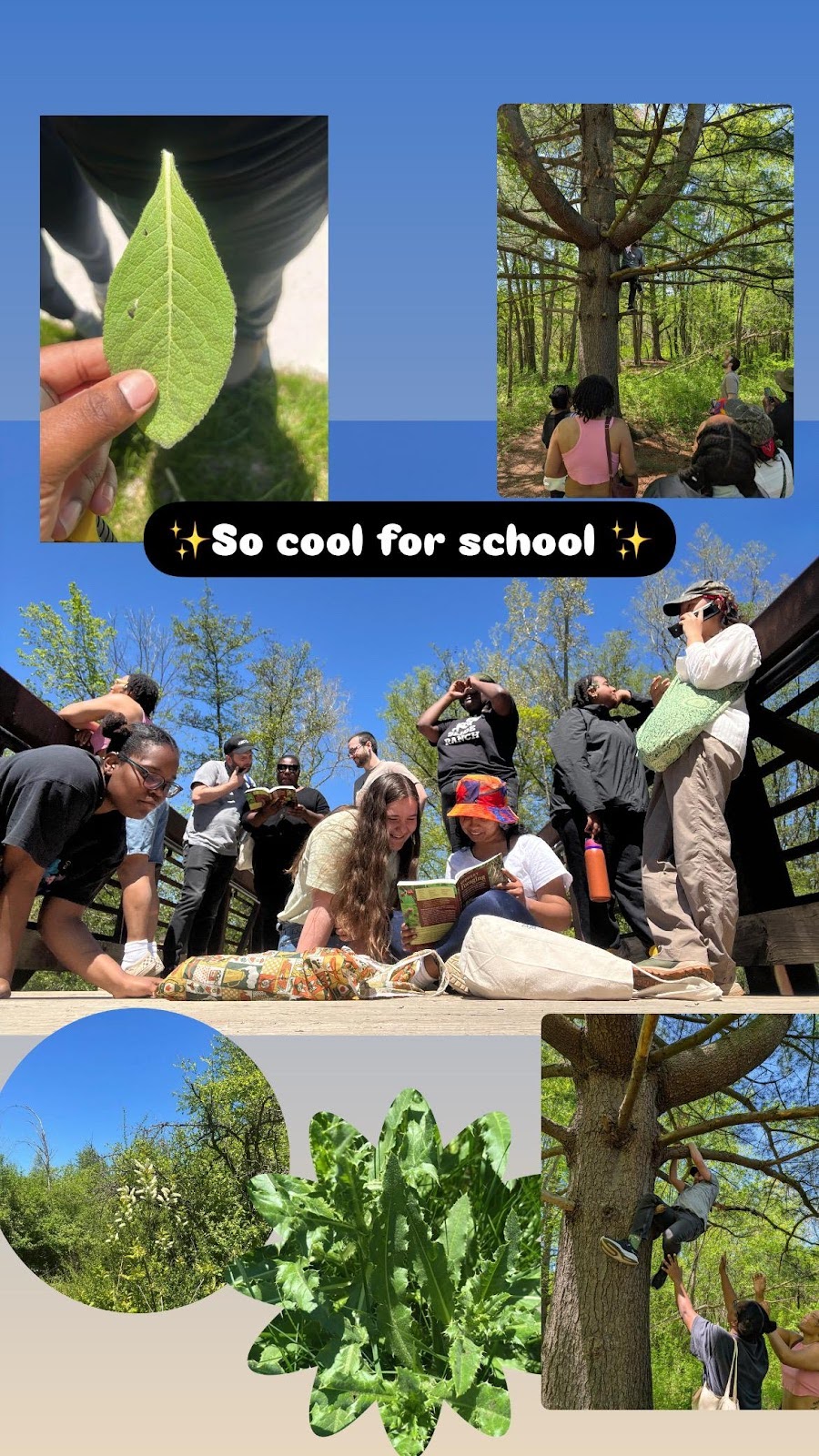 A collage of foraging group members and plants they found. The caption reads "So cool for school".