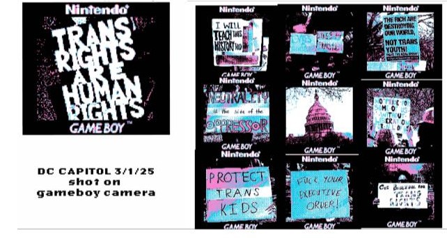 A landscape postcard assortment of pictures taken on the Gameboy from the trans rights protest. On the left is a large sign in black and white saying "TRANS RIGHTS ARE HUMAN RIGHTS". Below it is written: "DC CAPITOL 3/1/25; shot on gameboy camera". On the right side is a 3x3 grid of various photos taken during the protest - along the border of the grid are trans rights protest signs and posters, and in the middle square is a picture of the US Capitol building. all of the photos are trans pride colored.