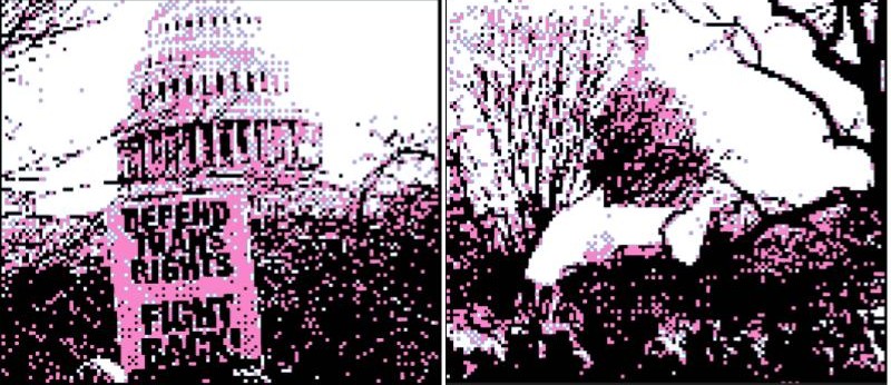 Two pixelatted images of the US Capitol building. In the first image, a protest sign is visible in front of the building that says, "Defend trans rights - fight back!" Both images are colored in trans pride colors (white, light pink, and light blue).