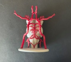 A 3D printed diagram of the circle of Willis and the brainstem. The brainstem and the baseplate for the diagram is in white, and the circle of willis is laid on top of the brainstem in red, and is connected to the baseplate. The diagram is laid down on a black background, facing up towards the camera.
