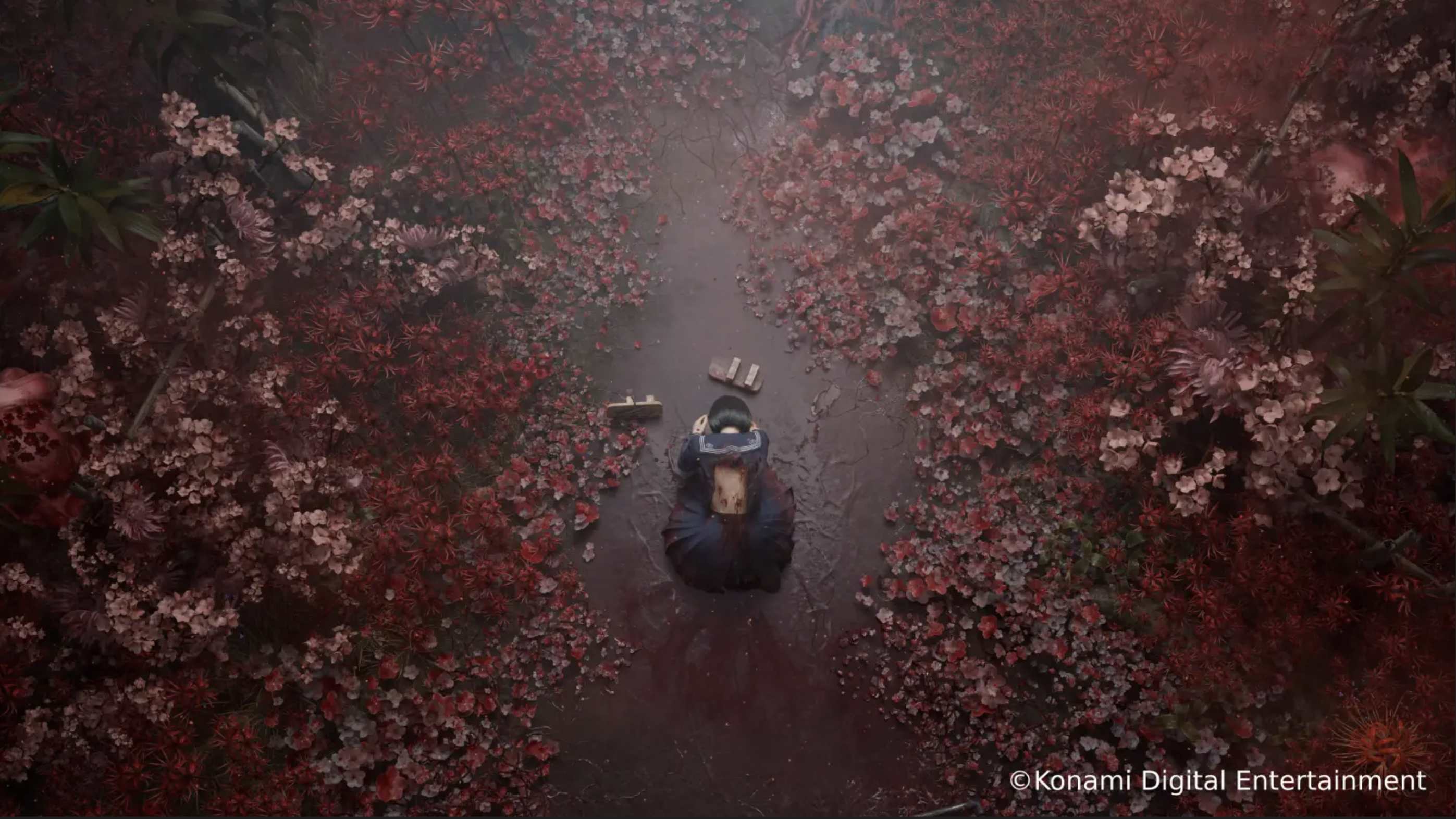 Aerial shot of a young Japanese girl in a school uniform crouching on the ground surrounded by red foliage and her geta strewn in front of her.