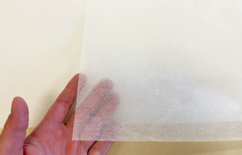 hotograph demonstrates the thin, transparent property of Tengucho paper.