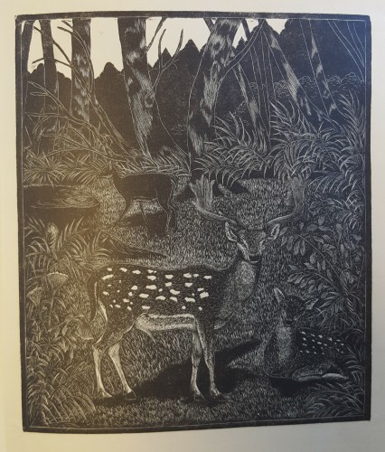 black and white wood engraving of deer