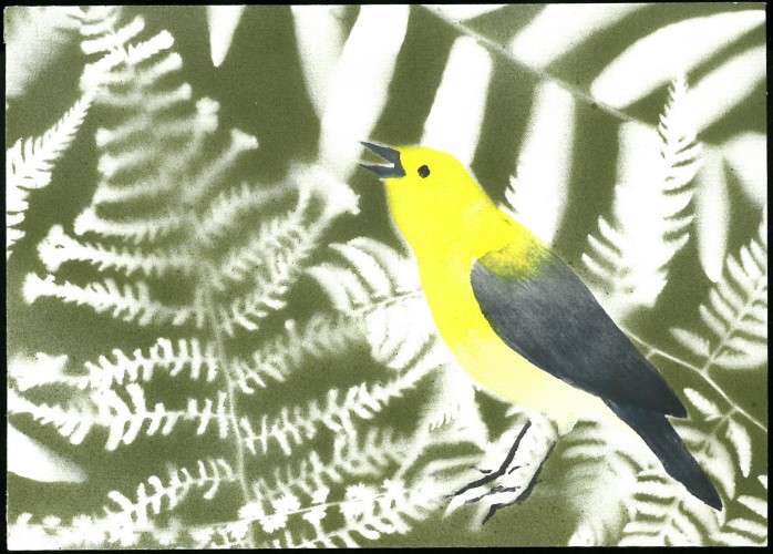 Yellow and black songbird on a background of ferns. 