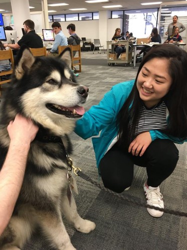student with therapy dog