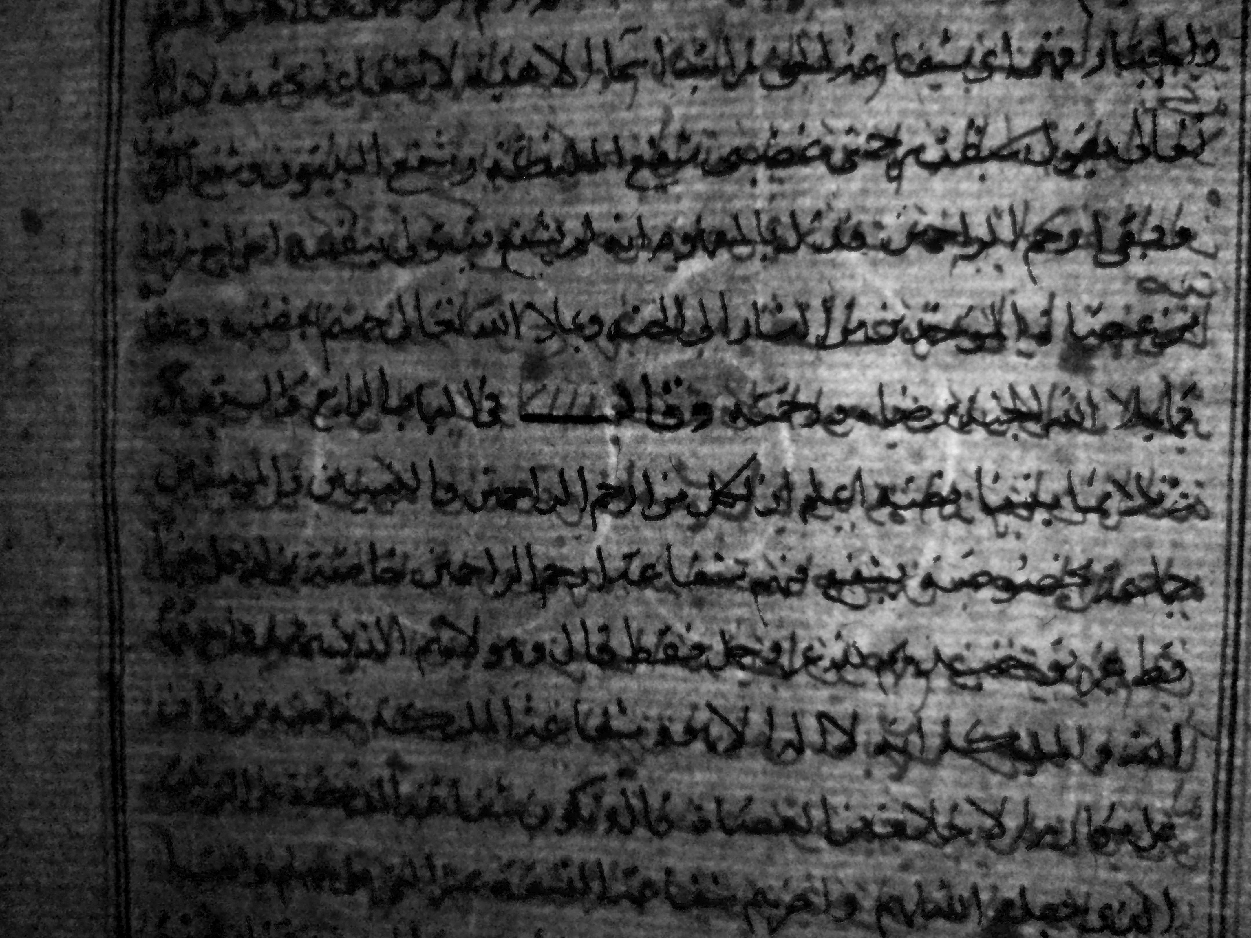 transmitted light view of watermark within paper manuscript page with lines of arabic text