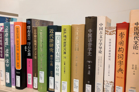 Shelf of Asia Library books with colorful spines