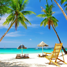 Picture of a tropical beach with palm trees, chaise lounges and umbrellas. 