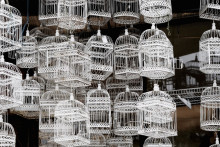 Photo of several dozen empty white metal bird cages hanging in a cluster.