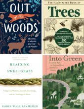Book covers of Out of the Woods, The Illustrated Book of Trees, Braiding Sweetgrass, and Into Green