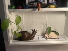 Brown 3d printed Snail shaped planter and tan 3d printed turtle snail shaped planter on white bookshelf.