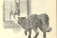 black and white drawing with a cat crouched and facing off a fierce looking dog