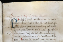 lines of handwritten latin script on parchment folio