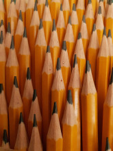 Photo of yellow pencils, with sharpened points pointing up.