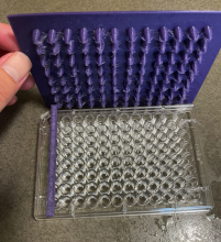 Test Tube Upper View