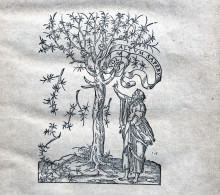 Detail of Estienne's pronter
