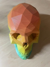 A colorful 3D printed geometric skull. Rather than a smooth (normal skull) surface, this print has a multifaceted pattern, so some of the edges catch the light, especially on the top of the skull. The top of the skull is red, around the eyes the print is orange, around the nose is yellow, the top of the jaw is light green, and the mandible is blue green/teal.