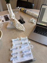 A picture of a collection of bones on a wooden table. In the foreground, a series of metatarsal bones laid out on a notepad with each bone labeled. On the right is a laptop computer, and in the background on the table is a full model reconstruction of a right foot with all the bones connected. In the far back, on the table, is a rolled UM research poster.
