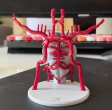 A 3D printed diagram of the brainstem and the circle of Willis (circular connection of arteries that supplies blood to the brain). The brainstem is printed white, and is connected to a large baseplate. The circle of Willis is printed in red, and is glued to the plate standing up. The circle looks like a stick figure with its arms outstretched. The entire 3D print is standing up on a table on a black mat in front of a black computer.