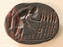 The engraving on the gem shows a man in a loincloth bent over, cutting stalks of wheat with a hooked tool