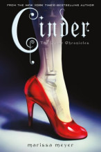 Cinder cover