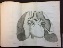 Copperplate engraving of the heart from Jean Baptiste Senac (1693-1770) Traitè de la structure du Coeur, de son action, et de ses maladies (Paris: Jacques Vincent, 1749)