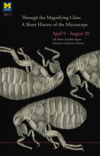 Images based on the Copperplate engraving of a flea, Schem. XXXIV, from Robert Hooke's Micrographia: Or Some Physiological Descriptions of Minute Bodies Made by Magnifying Glasses with Observations and Inquiries Thereupon. London: John Martin & James Allestry, 1665