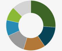 A pie chart illustrating the various activities recorded by the blog author.