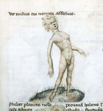 Medieval sketch of an awkward young man.  He is nude, facing forward but leaning backward.  His right arm hangs behind him. It is impossibly long