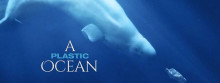 A Plastic Ocean Movie Poster