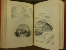 Illustrations of the Missisippi River