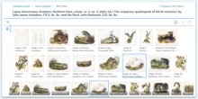 Gallery View of new interface for image digital collections.